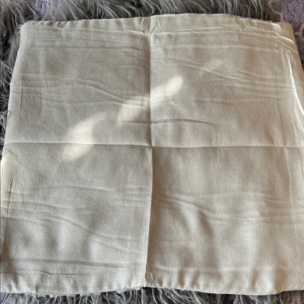 Elegant Pumpkin Cream Accent Pillow Case x2 NWT - Picture 5 of 7